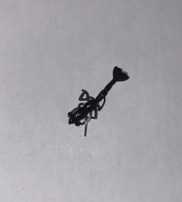 BY Freshwater Shrimp Black
