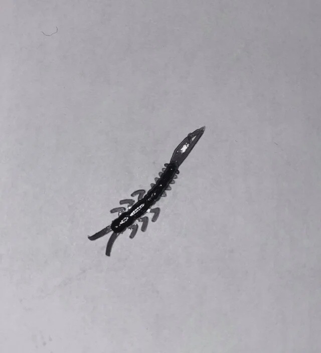 BY Mayfly Black