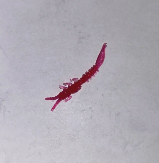 BY Mayfly Red
