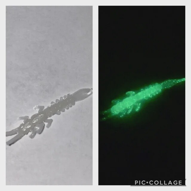 BY Mayfly Glow Green