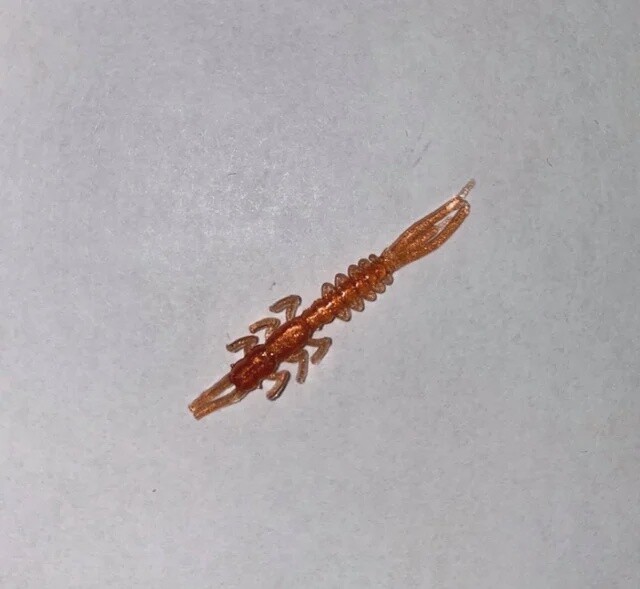 BY Mayfly Lumina Copper