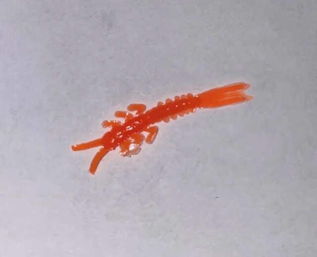 BY Mayfly UV Fluorescent Orange