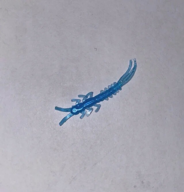 BY Mayfly UV Blue