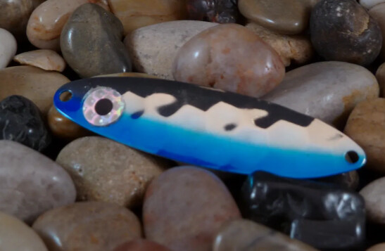 Finn 100 Blue Catcher