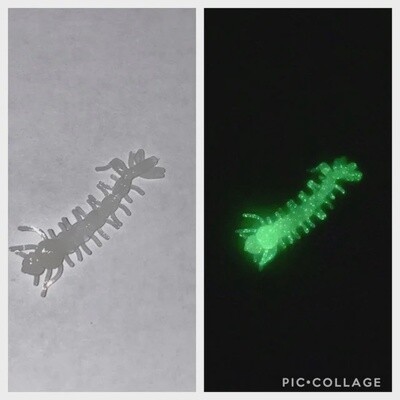 BY Mosquito Larvae Glow Green
