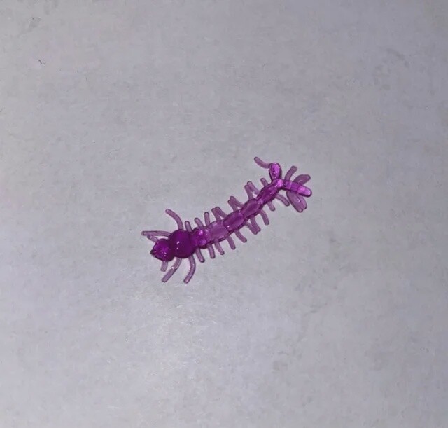 BY Mosquito Larvae Purple