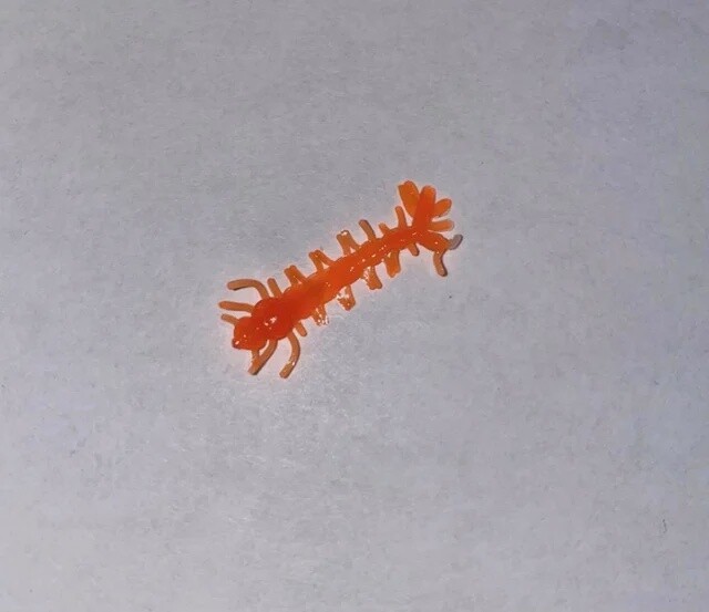 BY Mosquito Larvae UV Fluorescent Orange