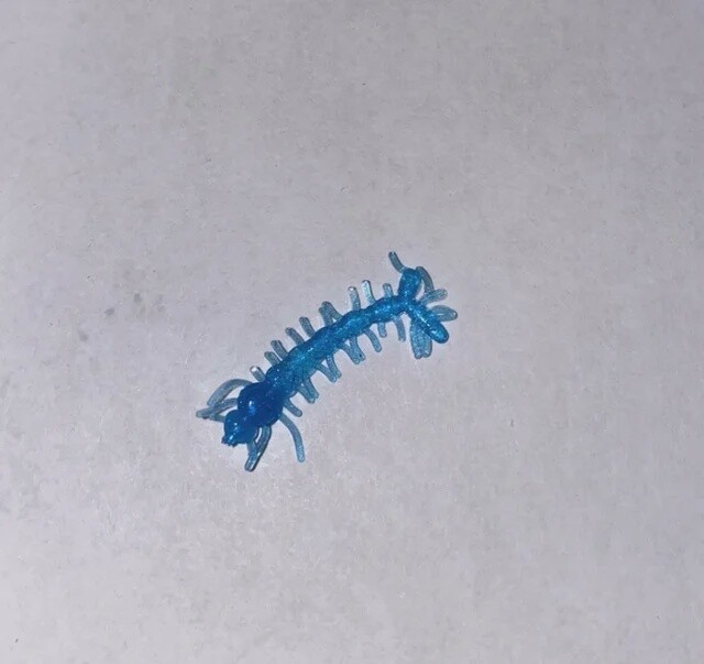 BY Mosquito Larvae UV Blue
