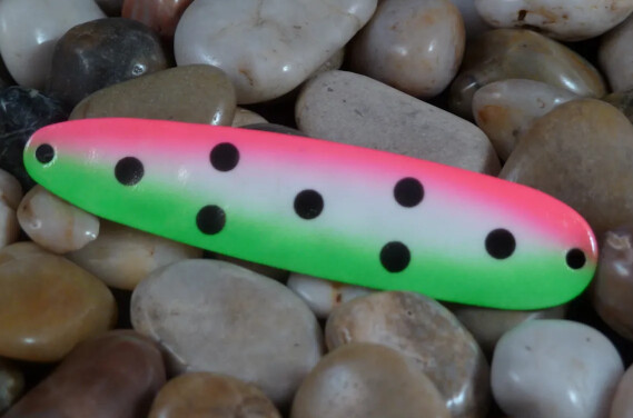 Finn 700 Glow Watermelon