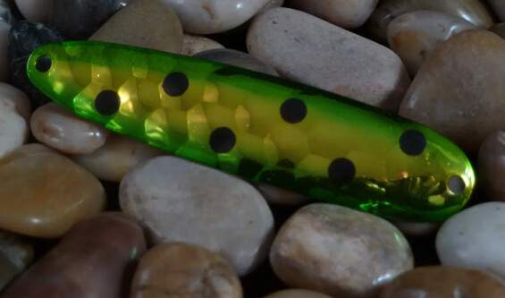Finn 700 Green Dingleberries UV