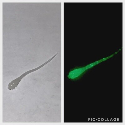 BY Microspike Glow Green