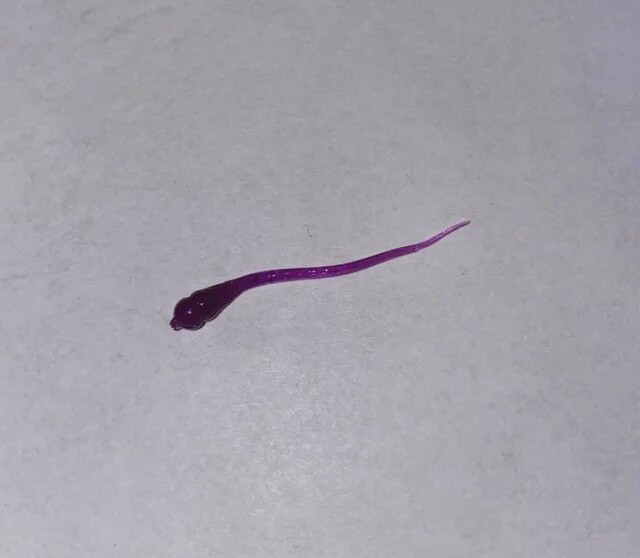BY Microspike Purple