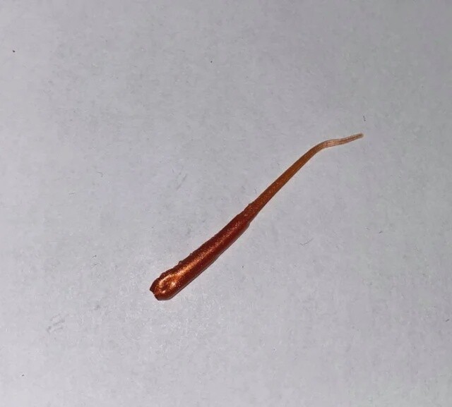 BY Super Minnow Lumina Copper