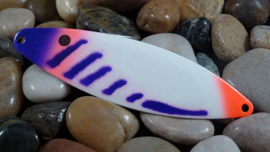 Finn 300 Dragon Ribs Dual Glow