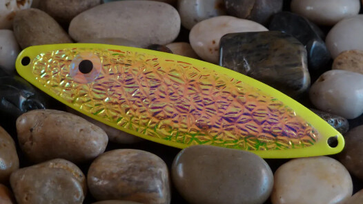 Finn 300 Tangled Glow FV