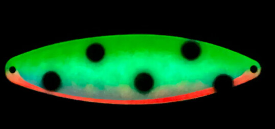 Finn 300 Glow Watermelon FV