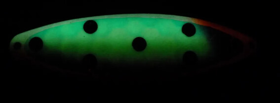 Finn 300 Glow Kiddie Cocktail FV