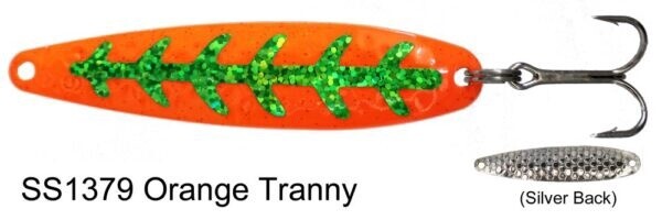 DW SS Orange Tranny