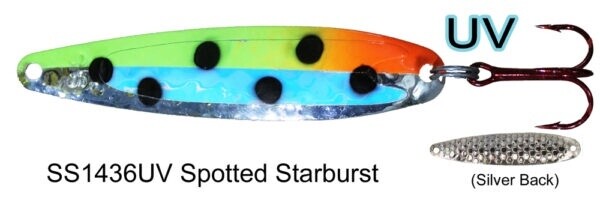 DW SS Spotted Starburst UV