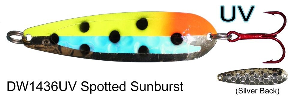 DW Std Spotted Sunburst UV