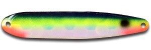 Flutter Elite Blue Fin Tuna