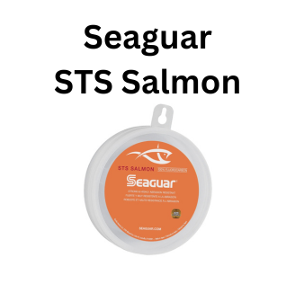 STS Salmon