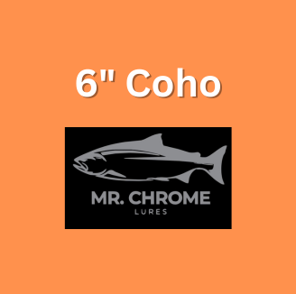 6&quot; Coho Flashers