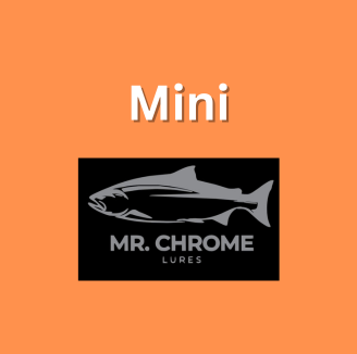 Mini Spoons