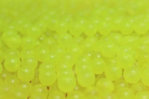 GLS 10mm Atomic Yellow