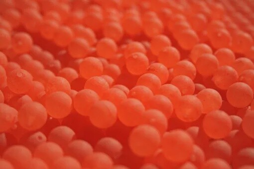 GLS 10mm Blood Red