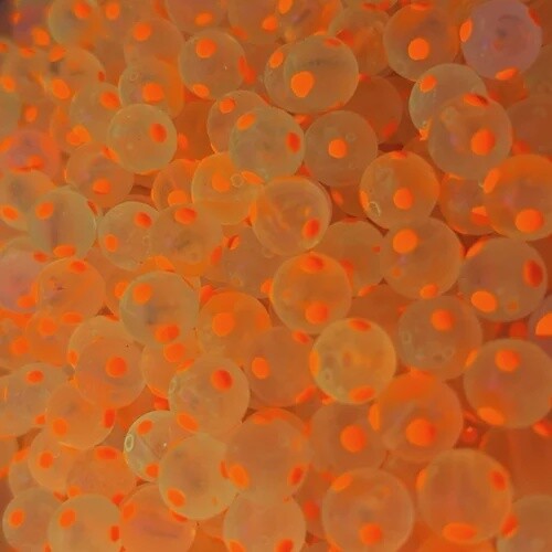 Bloop Beads 8mm Snozberry (Double Glow)