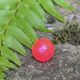 BnR Soft Bead 10mm Sweet Pink Cherry