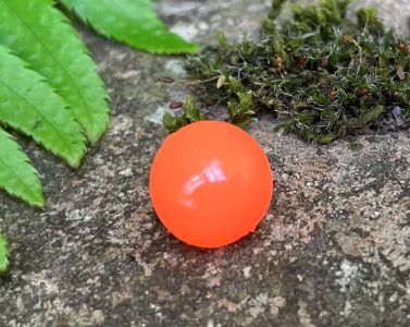 BnR Soft Bead 10mm Shrimp