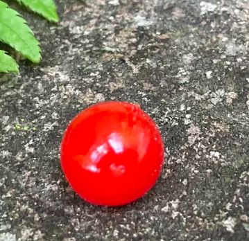 BnR Soft Bead 8mm Roe Natural