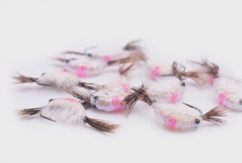 Kenders Tungsten Hot Spot Shrimp #12 Pink