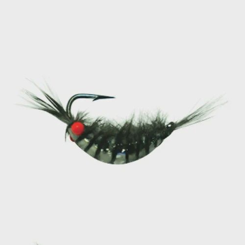 Kenders Tungsten Red Eye Shrimp #8 White Black