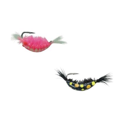 Shrimp Series