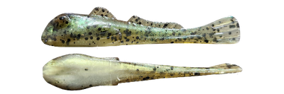 Round Goby 2.6&quot;