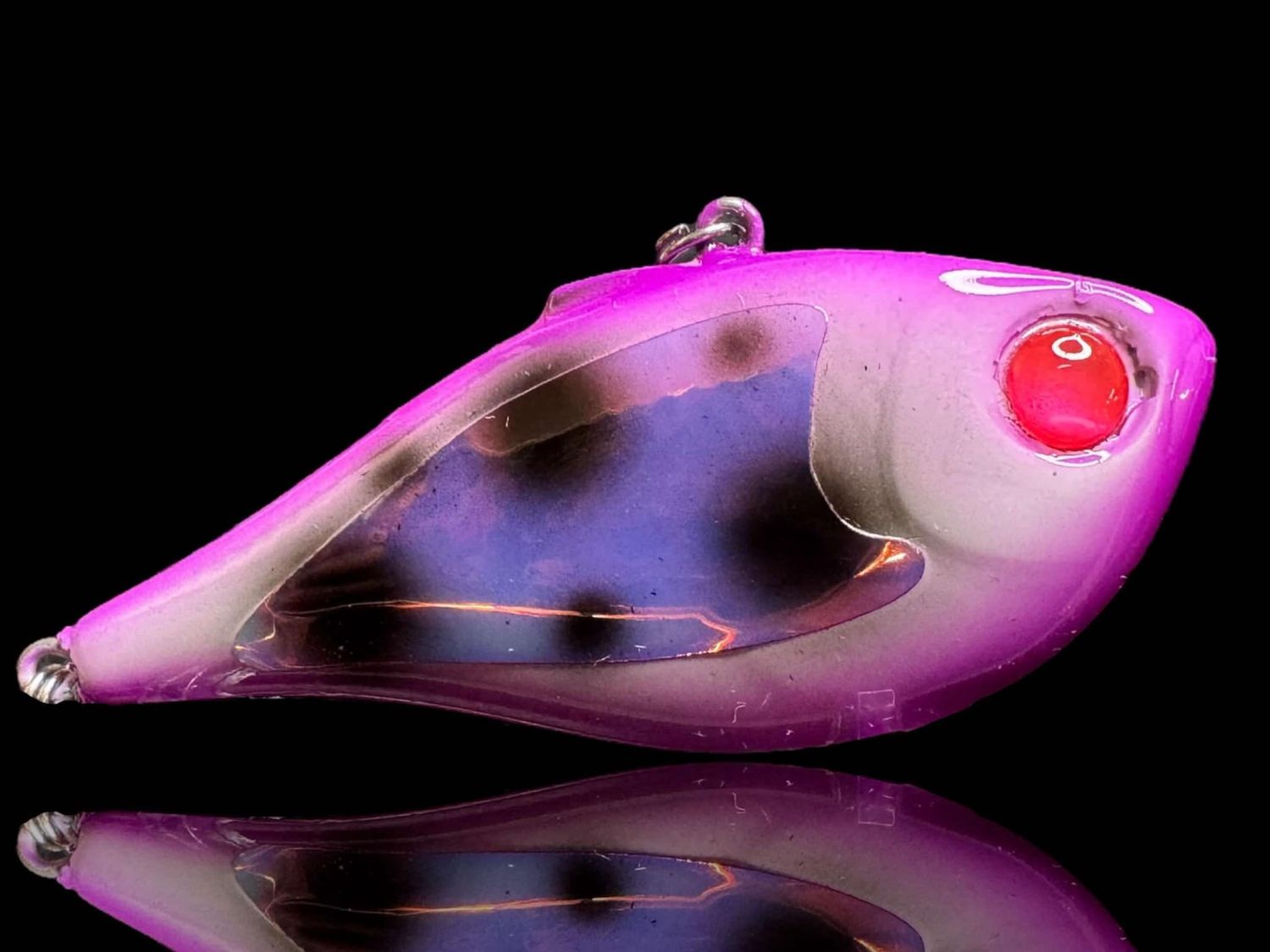 Rippin Rap 7 Purple Frog