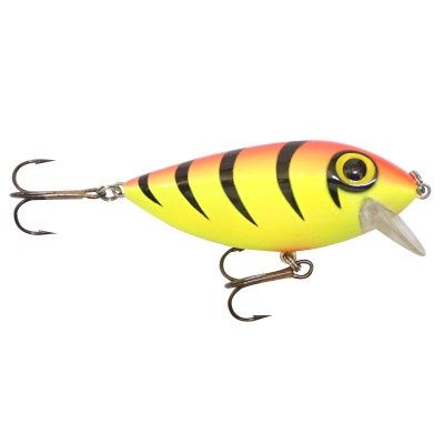 Brad&#39;s Thin Fish Bengal Tiger
