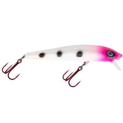Dreamweaver Bay Rat Short Shallow Sherbert