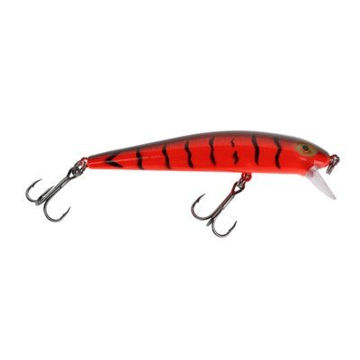 Dreamweaver Bay Rat Short Shallow Red Black Squiggles