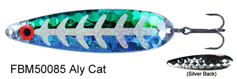 DW Fuzzy Bear Magnum Aly Cat