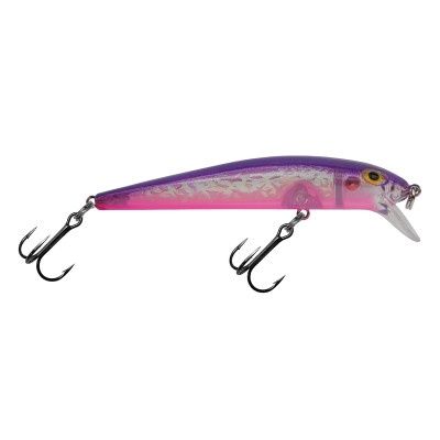 Dreamweaver Bay Rat Short Shallow Purple Wish
