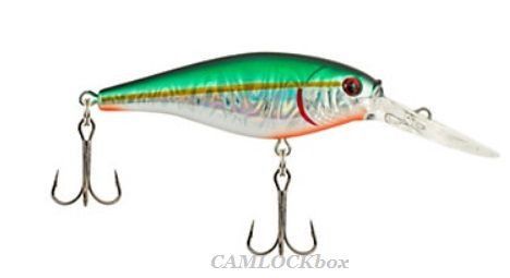 Flicker Shad 7 Green Alewife