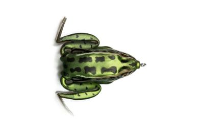 Lunkerhunt Lunker Frog