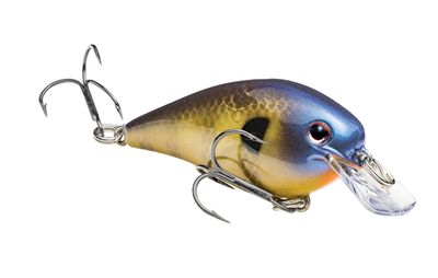 Strike King KVD Square Bill 1.0