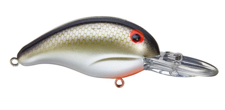 Bandit 200 Louisiana  Shad