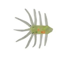 ADK Ice Bug Firetiger