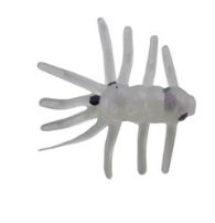 ADK Ice Bug Pearl White